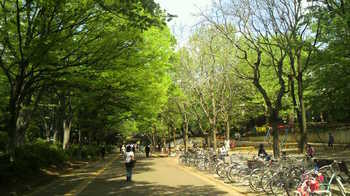 駒沢公園１.jpg