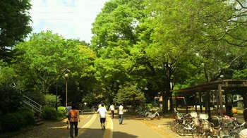 駒沢公園３.jpg